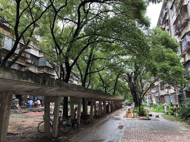 鸡血三星note8智斗华为P20PRO!拍照!