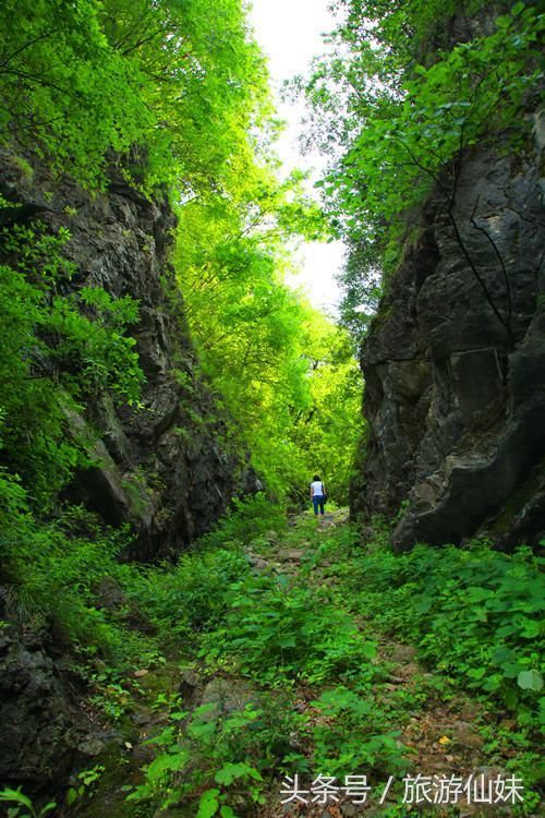 栾川王府竹海度假旅游区：避暑度假 休闲观光 一体的旅游景区