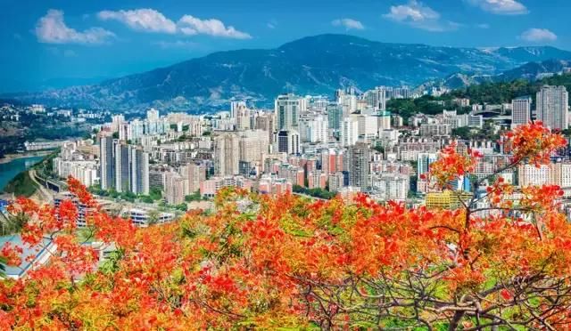 四川最美的城市，这里有峡谷、林海、古村、花海...