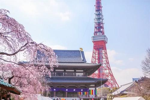 在日本,10000人民币能玩几天?游客:我想回中国