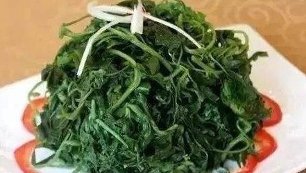 婆婆丁野菜新吃法 t016a06c5f112a88b1f.jpg