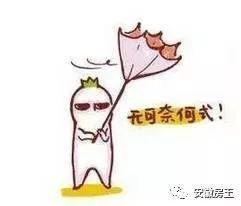 千人抢房还“打架”，杭州火了!市场分化买房难，合肥买房这5大问
