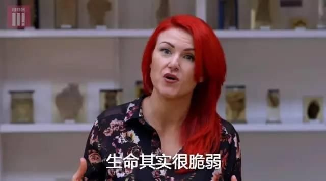 被BBC《解剖肥胖》真相震撼到了，今天开始管住嘴--真伪减脂食物L