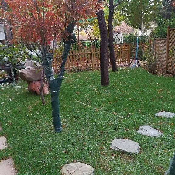 杨幂爸爸晒女儿幼时照,谁知道豪宅背景却成了