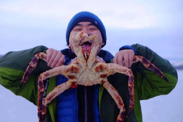 我们吃不起帝王蟹，挪威却泛滥成灾！现在他们头疼怎么吃也吃不完