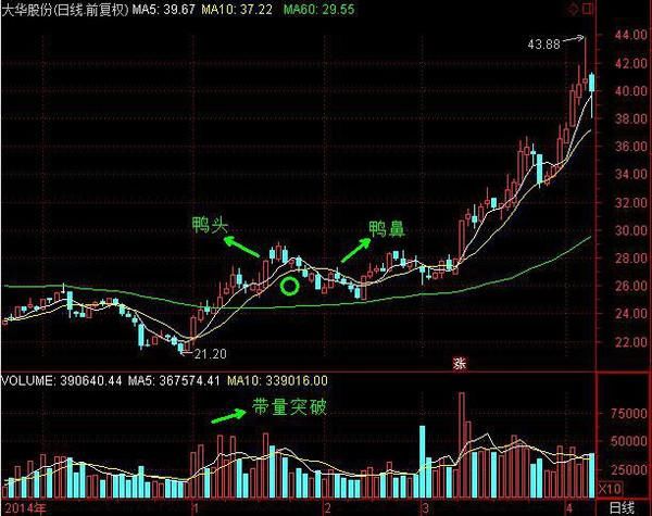 一位大学教授扬言：只要牢记这类形态铁律，大涨牛股唾手可得！