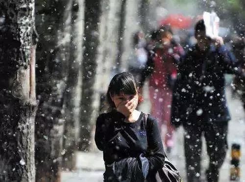 28℃！石家庄将迎来大范围“降雪”