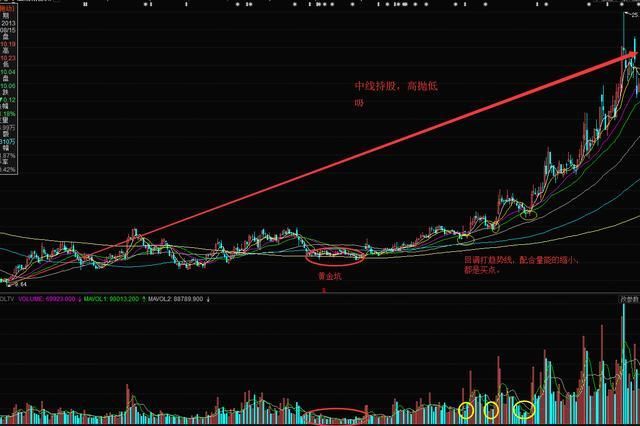 无耻实控人疯狂套现资金，玩文字游戏坑惨7万小散，股价一地鸡毛