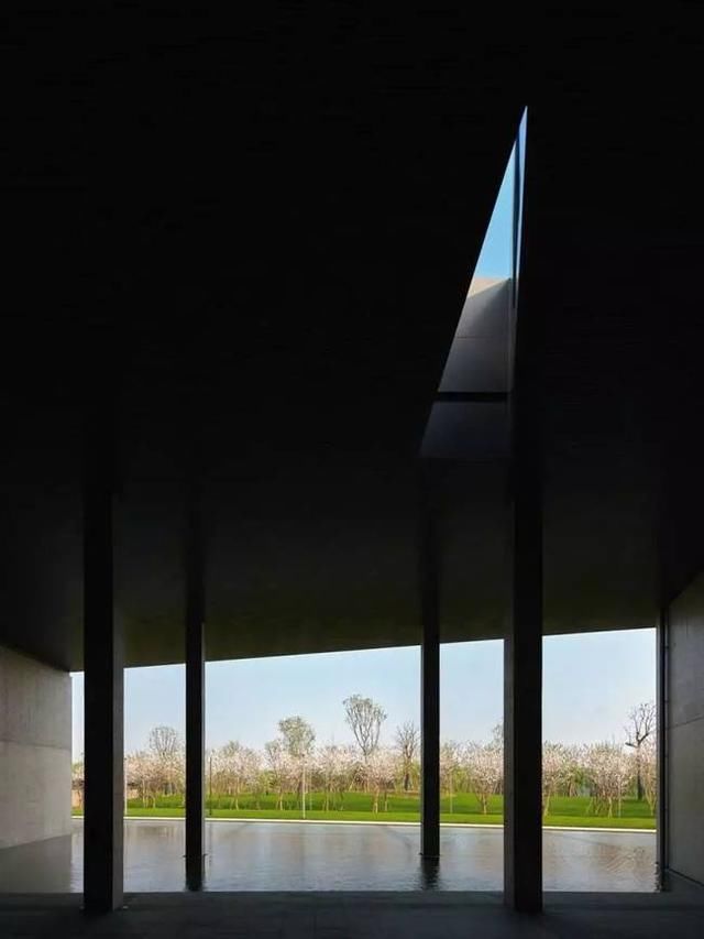 高晓松的诗和远方，大概就是晓书馆的模样