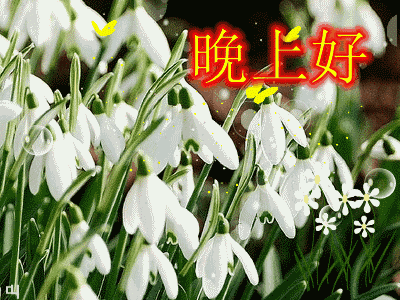 晚上好问候祝福美图 晚上好动态图片