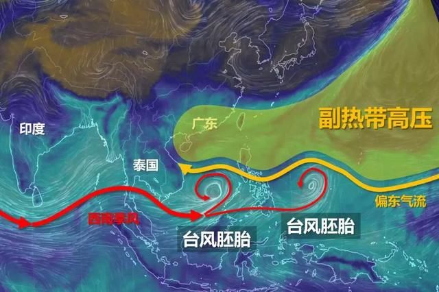 降温了！双台风即将生成，雷暴雨+大风连续暴击，广州人挺住！