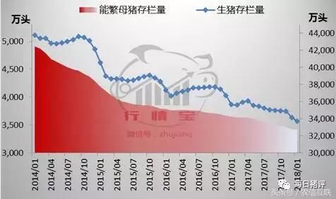 预计3月份猪价将震荡探底，生猪养殖进入亏损！