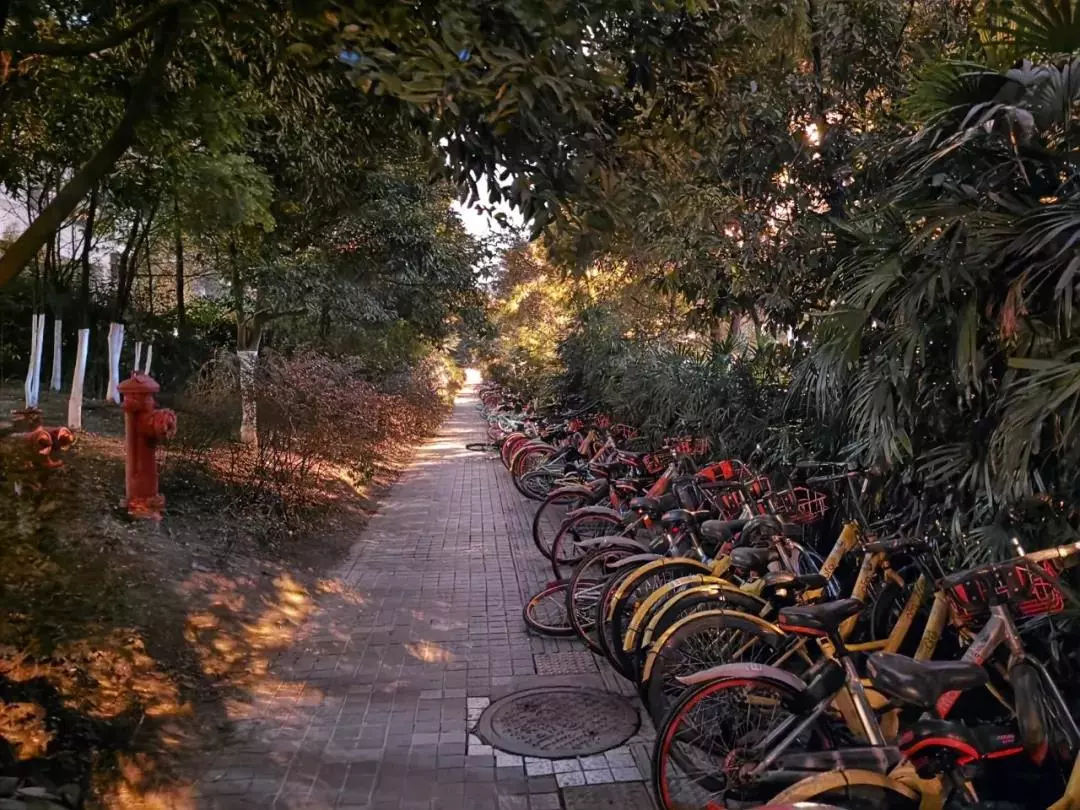 华为 P30 系列发布:最强拍照手机,夜间样张吊打