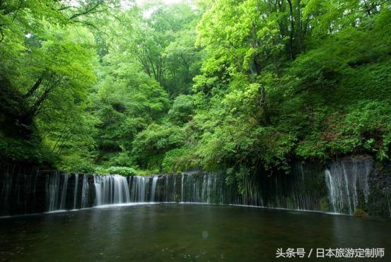 春晖四月，快来日本长野县邂逅一场浪漫之旅吧！