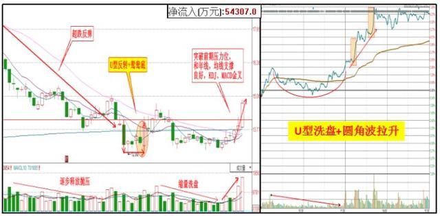 上海股神：“成交量”才是A股永不篇人黄金铁律，别的都是马后炮