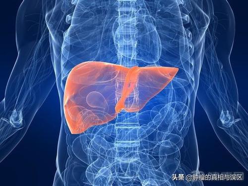 梦到自己得了癌症,是好是坏?梦境背后的深层含义解析 梦到自己得了癌症,是好是坏?梦境背后的深层含义解析