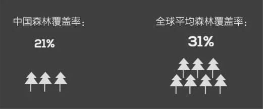 板材企业关停 价格上涨 不得不考虑新材料模板了