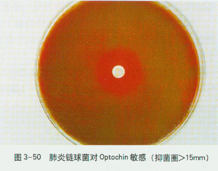 商贸公司注册流程