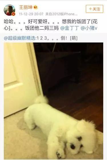 素颜女神王丽坤也有黑历史,感情年龄都成迷?