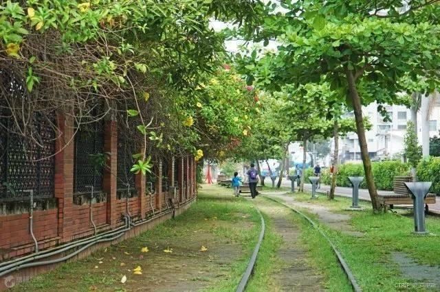 五月份，台湾高雄端午节有赛龙舟，约吗？