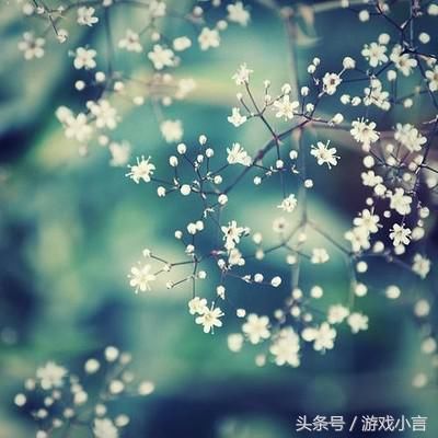 大师说属虎人的名字中若带这些字, 可不得了