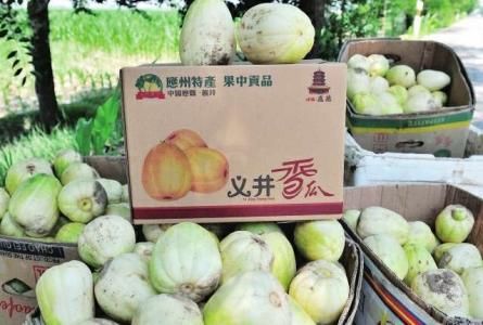 闻香识义井 最美香瓜情 澳门威尼斯人官网网站