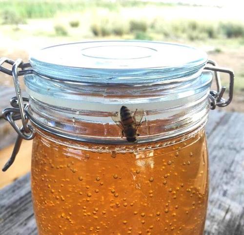 喝蜂蜜可以治疗鼻炎吗?蜂蜜治过敏性鼻炎?