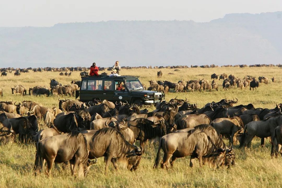 招聘 | 去非洲工作,你怕了吗?