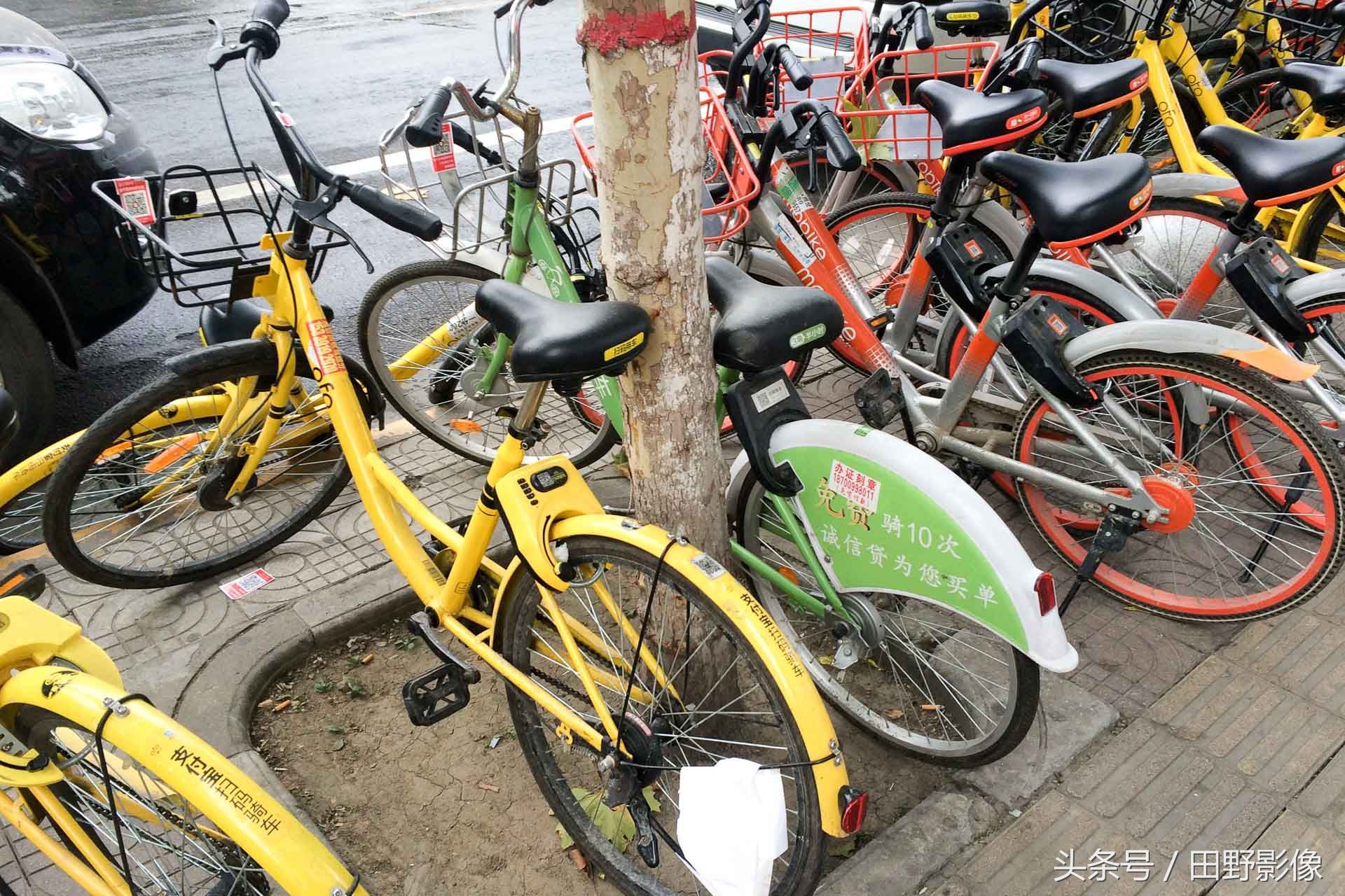 酷骑单车倒闭让员工拆车轮抵工资 街头单车垃