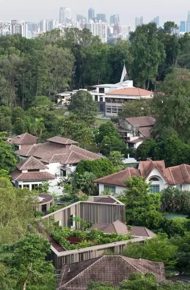 2017年度艾特奖最佳住宅建筑设计奖House at Holland Park