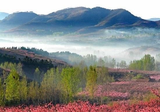 2018山东各地最实用的赏花指南！看这一篇就足够了！快去感受春天