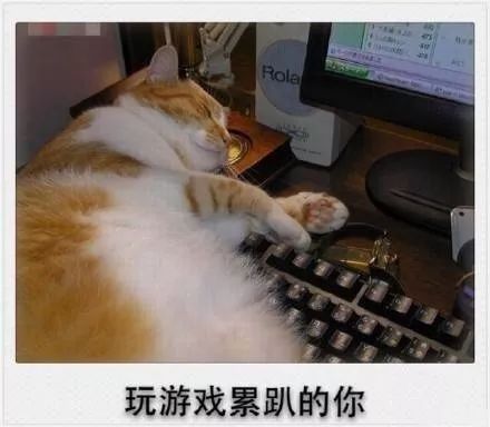 你的剩余假期被雨水承包了!还有一件扎心的事……