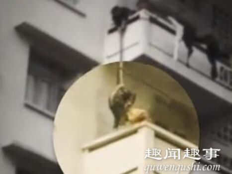 绳吊7岁孙子救猫