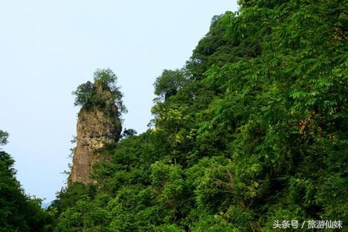 栾川王府竹海度假旅游区：避暑度假 休闲观光 一体的旅游景区