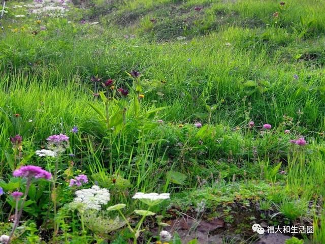 阿尔卑斯山勃朗峰环线(TMB)徒步 第四天