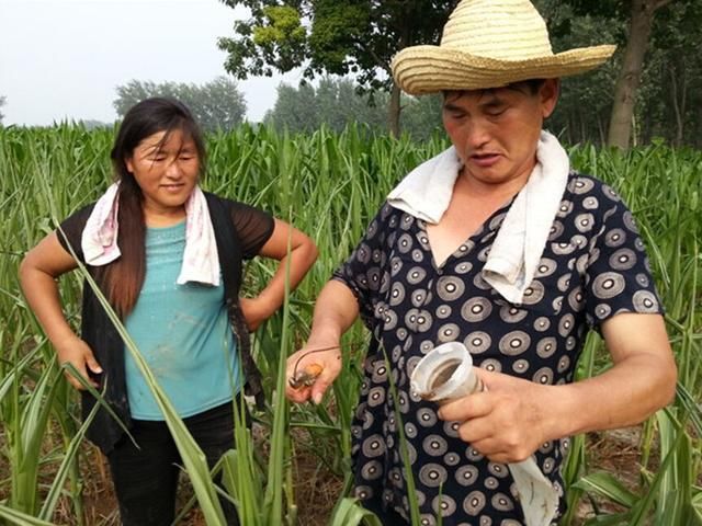 大衣哥朱之文红了，邻居却飘了，道德不是穷人的免费午餐