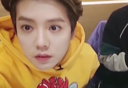 鹿晗我就是胖着玩