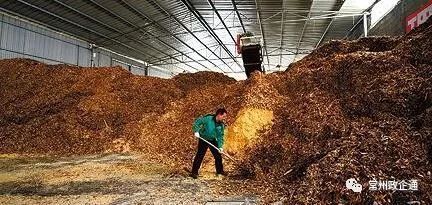 绿水青山就是金山银山 我市全国人大代表热议