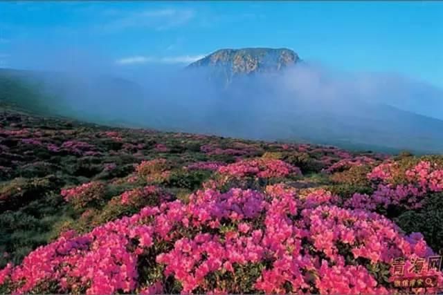 小长假别再出国了!浪了青海，就等于浪了全世界，不信你看!