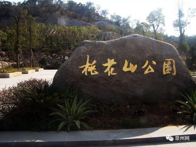 泉州又要火了！乘风破浪的姐姐来录团综，还将......