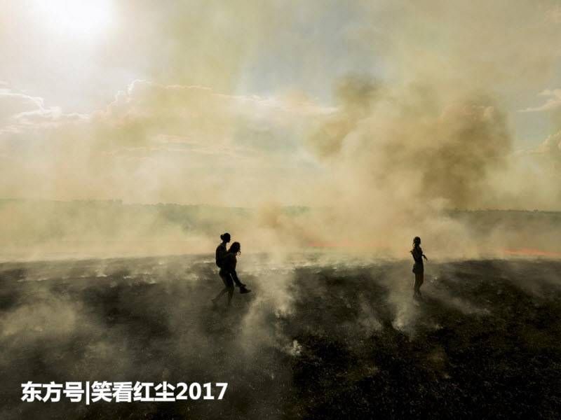 来自澳大利亚的有趣照片 来自澳洲的那些趣事，袋鼠乱穿马路，蛇