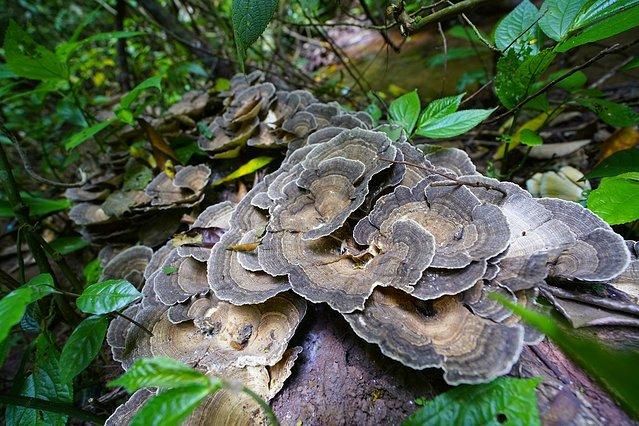 7天6晚，玩转傣历新年泼水盛会