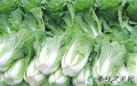 B超可以确认乳腺增生吗