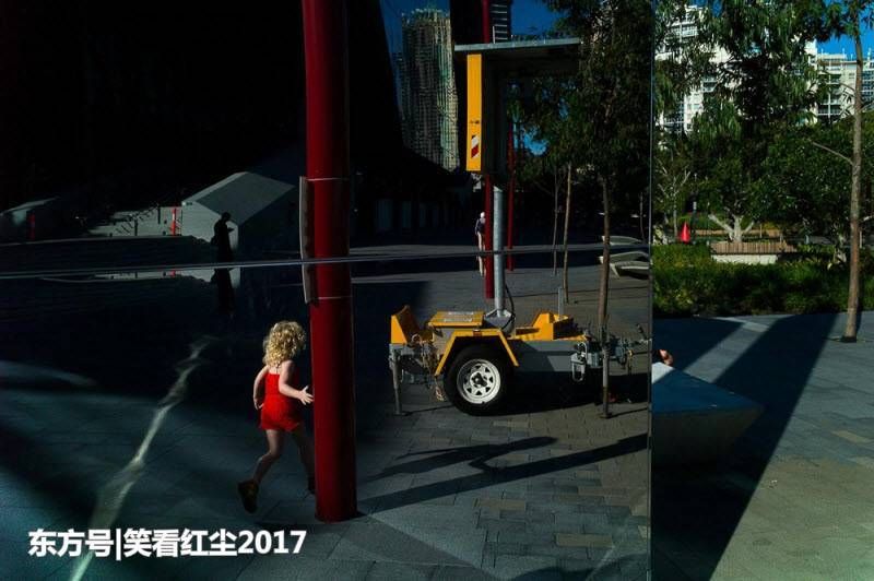 来自澳大利亚的有趣照片 来自澳洲的那些趣事，袋鼠乱穿马路，蛇