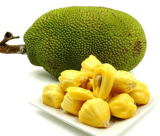 菠萝蜜人口_菠萝蜜树图片(2)