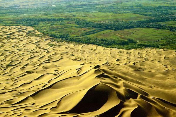 最适合种植水稻的地方竟是沙漠!中国再次征服世界，外媒:了不起