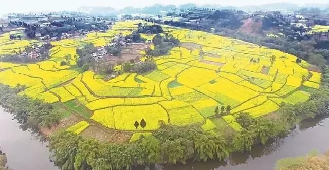 大四川七彩花海要美炸了？最新赏花地图在此，请收好！