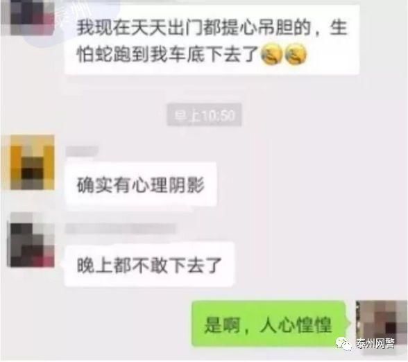 【网警辟谣】泰州某别墅区步道上惊现2条大蛇“秀恩爱”？