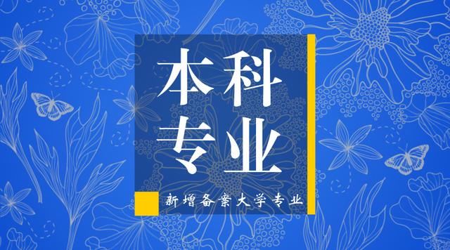 250多所高校争相开设的大数据专业,到底是什么