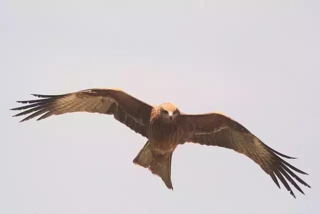 新疆有座被众人膜拜3000多年的神山，美的逆天了！